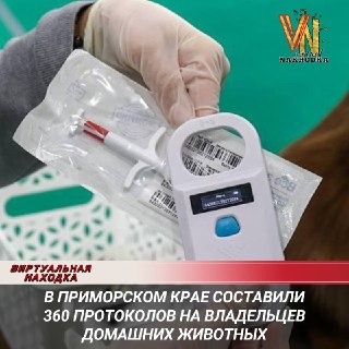 360 Протоколов на Владельцев Животных: Штрафы и Чипирование в Приморье