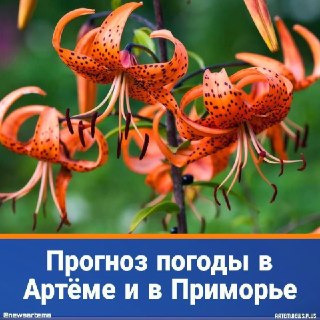 Прогноз погоды в Приморском крае на 23 июля: дождь и грозы