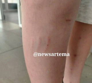 Сбили ребёнка на пешеходном переходе: нужна помощь очевидцев