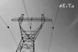 Мужчина из Приморья предстанет перед судом за смерть девочки из-за незаконной облагораживания участка рядом с ЛЭП