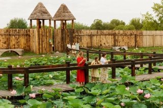Цветение лотосов в Петровке: яркое зрелище и прогулки на озере